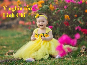 Ý nghĩa tên Linh Chi, tên Linh Chi có nghĩa là gì?