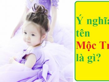 Ý nghĩa tên Mộc Trà là gì?