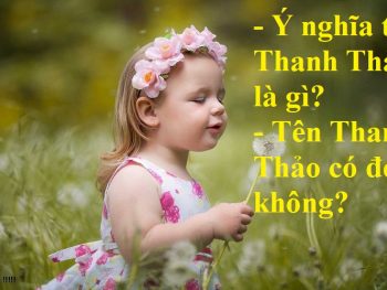 Ý nghĩa tên Thanh Thảo là gì?