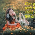 Con gái sinh năm 2022 đặt tên gì, tên hay cho con gái sinh năm 2022