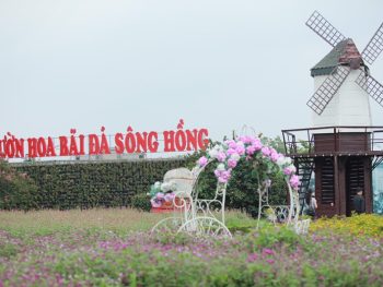 Bãi đá Sông Hồng Hà Nội.