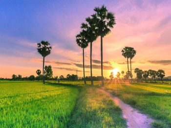 HƯớng dẫn di chuyển Sài Gòn đi An Giang